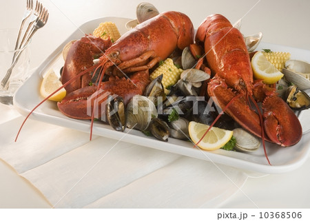 Still life of lobster and clams 10368506