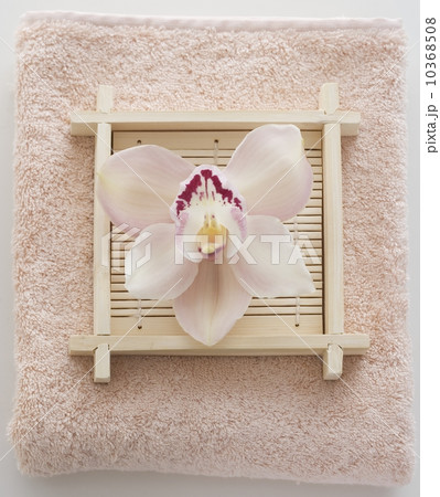 Still life of orchid on terry cloth Still life of orchid on terry cloth 10368508