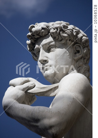 Michelangelo's David in the Piazza della Signoria Florence Italy 10368528