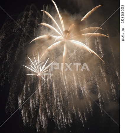 Fireworks in the night sky 10368603