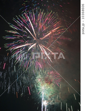 Fireworks in the night sky 10368606