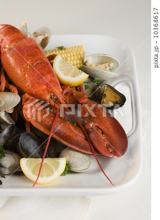 Still life of lobster and clams Still life of lobster and clams 10368617