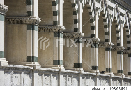 Santa Maria Novella Florence Italy Santa Maria Novella Florence Italy 10368691