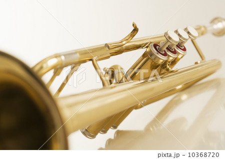 Closeup of trumpet 10368720