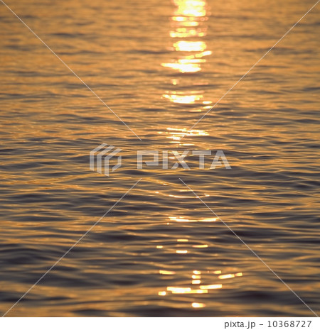 Sunlight reflected on water 10368727