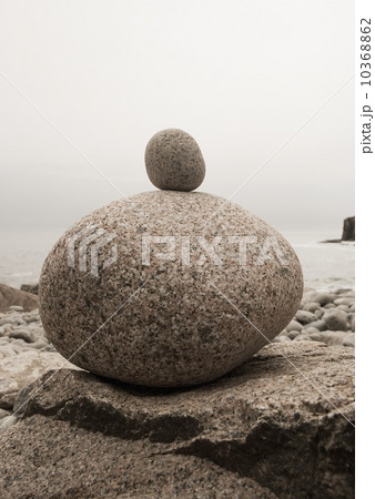Stones near Otter Cliffs Acadia Maine 10368862