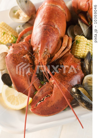 Still life of lobster and clams 10369046