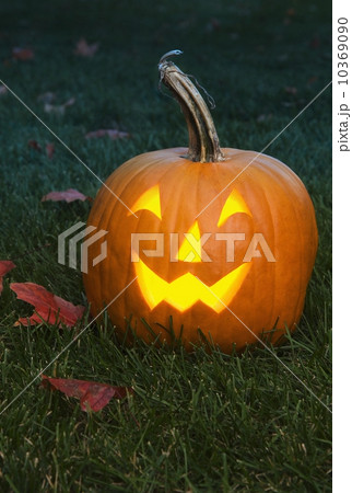 Still life of a jack o lantern 10369090