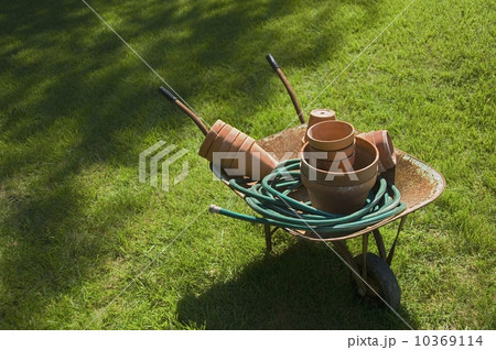 Still life of wheelbarrow and gardening tools 10369114