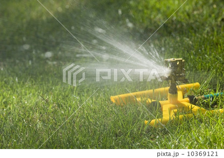 Sprinkler on a green lawn 10369121