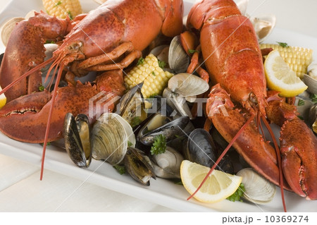 Still life of lobster and clams 10369274