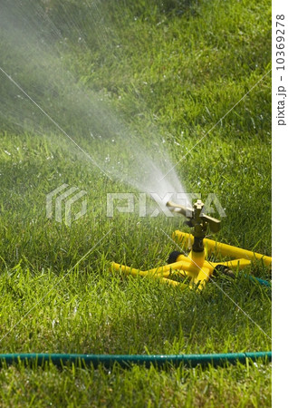 Sprinkler on a green lawn 10369278