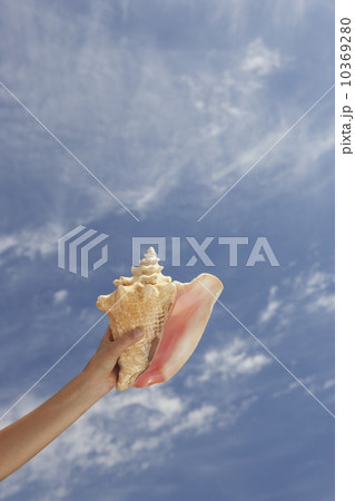 Hand holding conch shell with sky 10369280