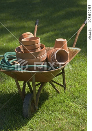 Wheelbarrow and gardening tools 10369293