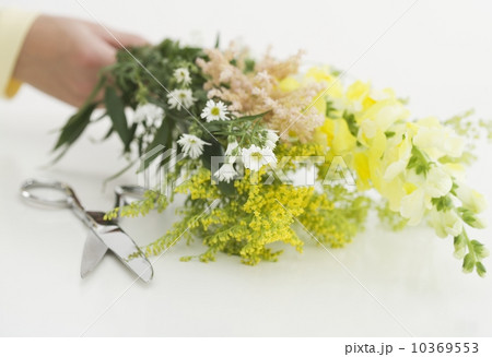 Freshly cut flowers 10369553