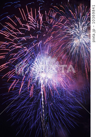 Fireworks in the night sky 10369841