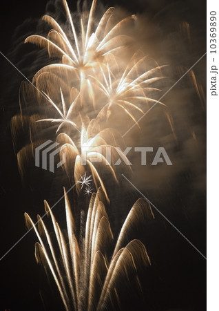 Fireworks in the night sky 10369890