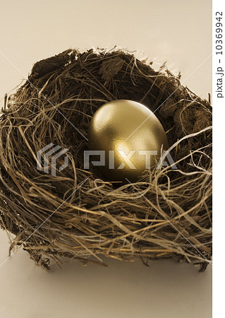 Still life of golden egg in nest Still life of golden egg in nest 10369942