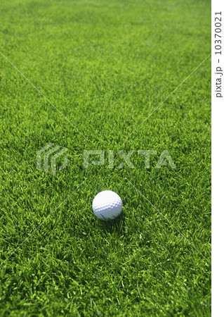 Golf ball on green grass outdoors Golf ball on green grass outdoors 10370021