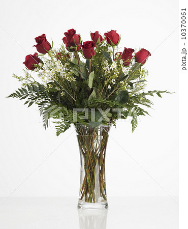 Still life of red roses 10370061
