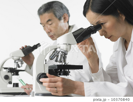 Man and woman in lab coats using microscopes Man and woman in lab coats using microscopes 10370840