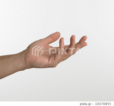 Studio shot of man's hand Studio shot of man's hand 10370855