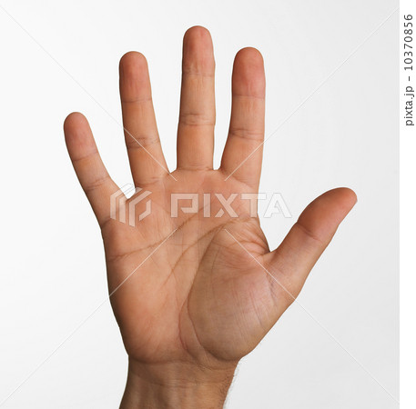 Close up studio shot of palm side of man's hand Close up studio shot of palm side of man's hand 10370856