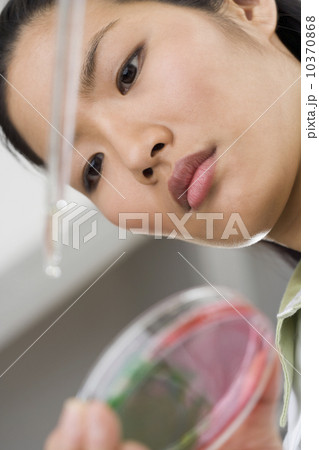 Scientist looking at a Petri dish Scientist looking at a Petri dish 10370868