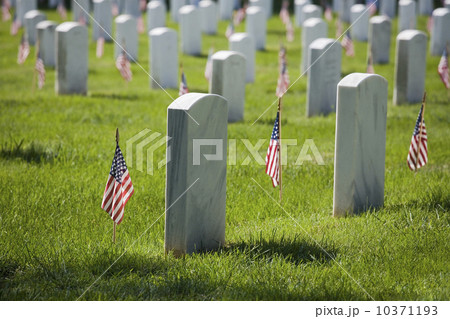 Arlington National Cemetery Washington DC USA 10371193