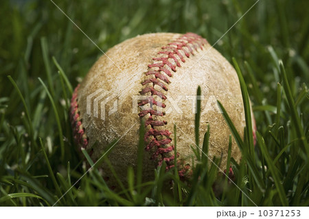 Close up of baseball in grass Close up of baseball in grass 10371253