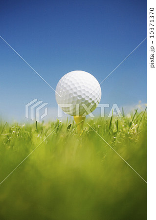 Golf ball on tee in grass outdoors 10371370