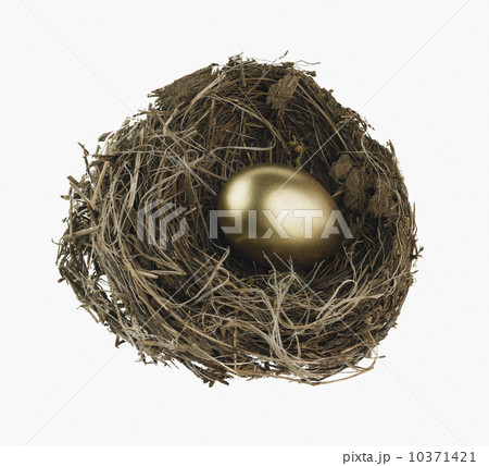 Studio shot of nest with golden egg Studio shot of nest with golden egg 10371421