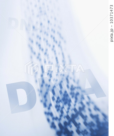 Composite image of DNA Composite image of DNA 10371473
