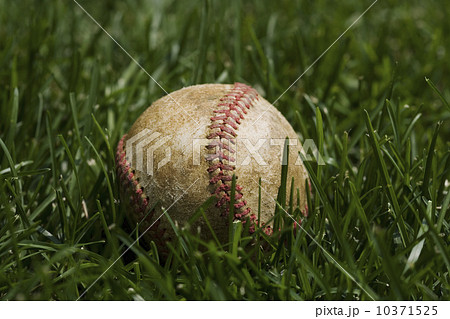 Close up of baseball in grass Close up of baseball in grass 10371525