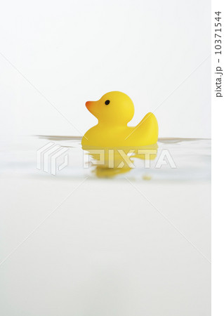 Rubber duck toy in water 10371544