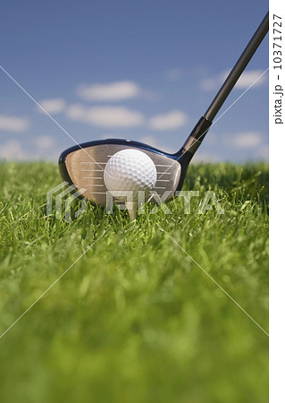 Closeup of golf ball teed up for play Closeup of golf ball teed up for play 10371727