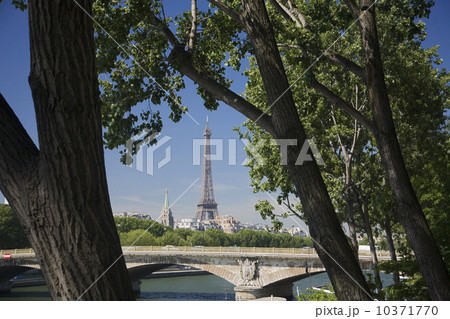 View through trees to Eiffel Tower 10371770