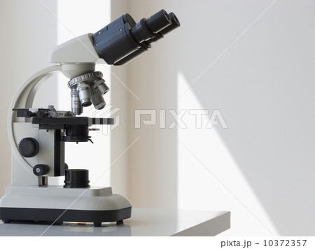Microscope on table 10372357