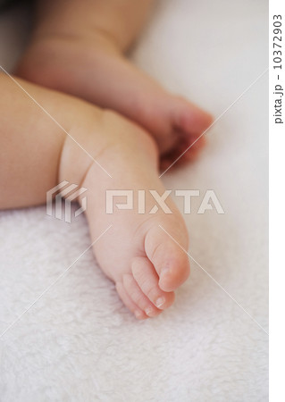 Close up of baby’s feet 10372903