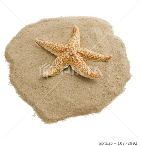 Starfish on sand 10372992