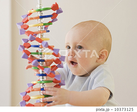 Baby playing with DNA model Baby playing with DNA model 10373125