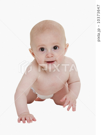 Studio shot of baby crawling Studio shot of baby crawling 10373647