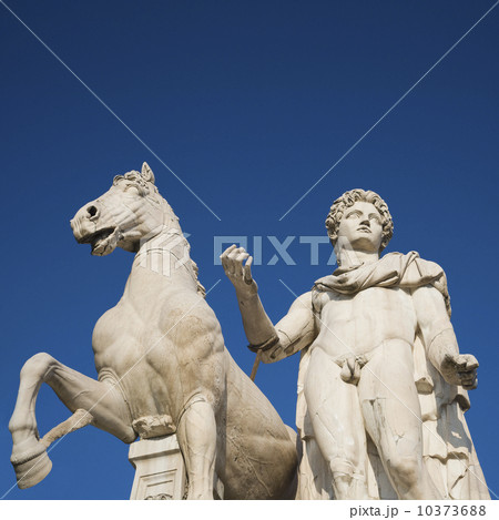 Low angle view of statue of Castor, Piazza del Campidoglio, Italy 10373688