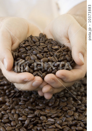 Person holding handful of coffee beans Person holding handful of coffee beans 10373883