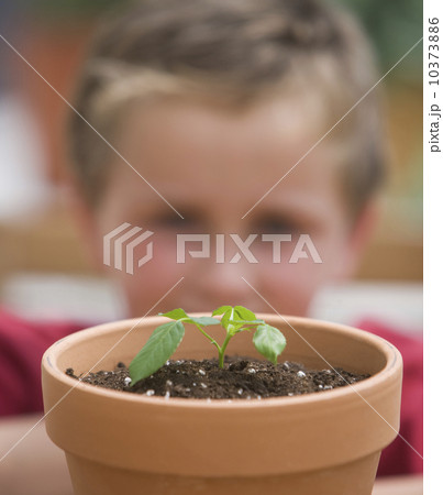 Boy looking at potted plant 10373886