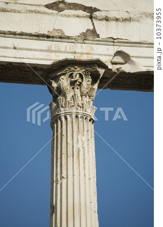 Low angle view of Corinthian column, Temple of Castor and Pollux, Roman Forum, Italy Low angle view of Corinthian column, Temple of Castor and Pollux, Roman Forum, Italy 10373955