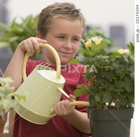 Boy watering potted plants 10374204