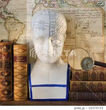 Phrenology head diagram on shelf with books 10374725