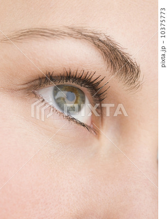 Extreme close up of woman’s eye Extreme close up of woman’s eye 10375773