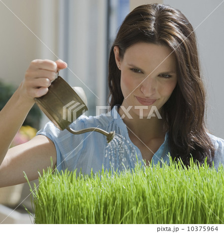 Woman watering grass 10375964